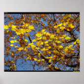 黄色 ポスター (正面)