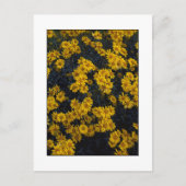 "黄色" ポストカード (正面)