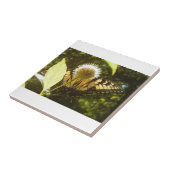 黄色（昆虫）オオカバマダラ、モナークセラミックタイル タイル (側面)