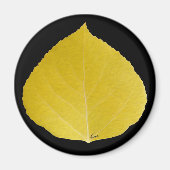 黄色《植物》アスペンリーフ#5 マグネット (正面)