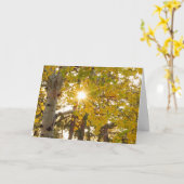 黄色《植物》アスペン葉付き秋樹及び日が差すこと カード (黄色い花)