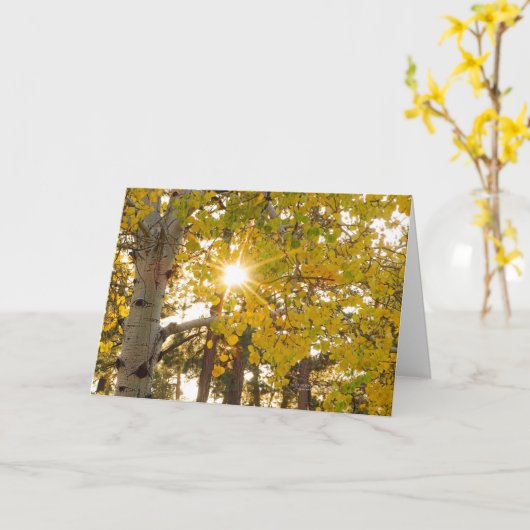 黄色《植物》アスペン葉付き秋樹及び日が差すこと カード (黄色い花)