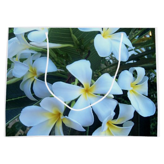 黄色, 白色, フランジパニ, 花, 自然, 夏, ラージペーパーバッグ (正面)