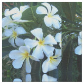 黄色，白，フランギパニ，花，自然，夏， ファブリック (クローズアップ)