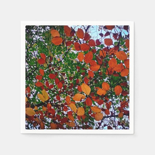 黄色、緑、茶色の離れ色 スタンダードカクテルナプキン (正面)