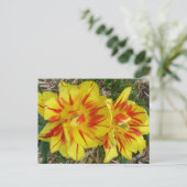 黄色(赤ストライプの花) ポストカード (スタンド正面)