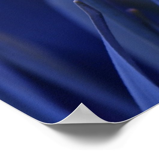 黄色（青） ポスター (角)