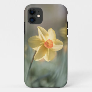 黄色Daffodil自然写真 iPhone 11 ケース