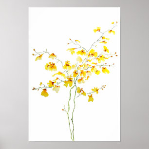 黄色Oncidium Orchid水色 ポスター