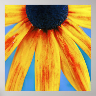 黄色Rudbeckiaフラワーマクロ抽象芸術 ポスター