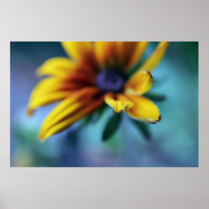 黄色Rudbeckiaフラワーマクロ抽象芸術 ポスター