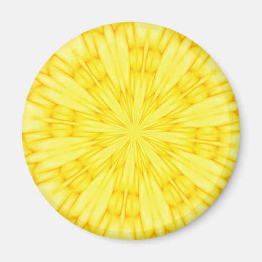 黄花フラクタル マグネット (正面)