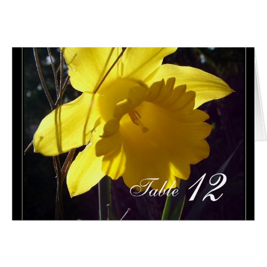 黄花夕食番号札。 (正面横)