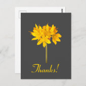 黄花感謝してい ポストカード (正面/裏面)