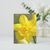 黄花水仙 ポストカード (スタンド正面)