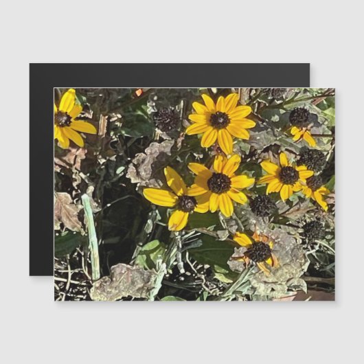 黄花磁気カード (正面/裏面)