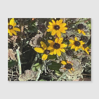 黄花磁気カード