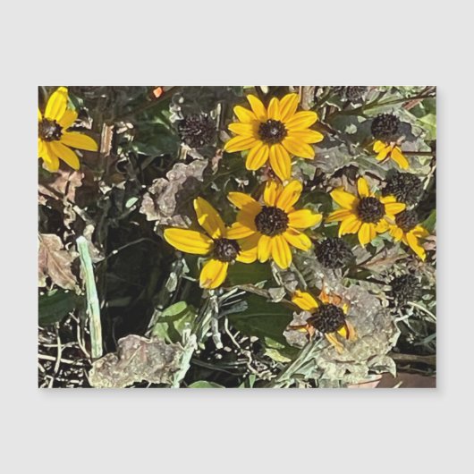 黄花磁気カード (正面)