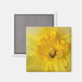 黄花紅色 マグネット (正面/裏面)