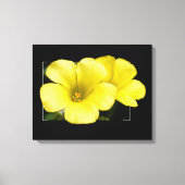 黄花 キャンバスプリント (正面)
