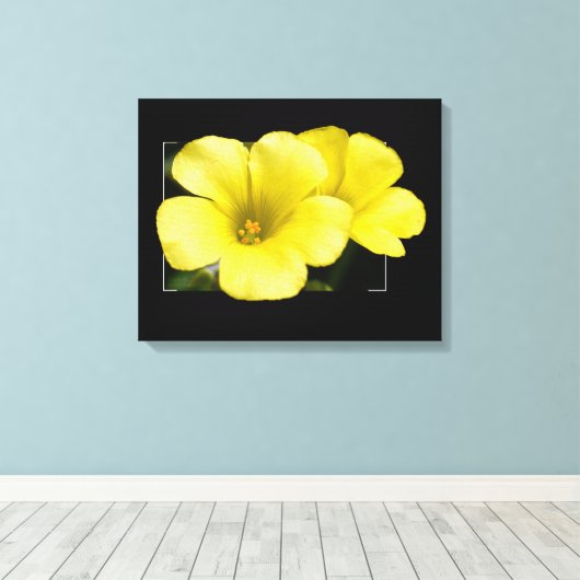 黄花 キャンバスプリント (インサイチュ (ウッドフロア))