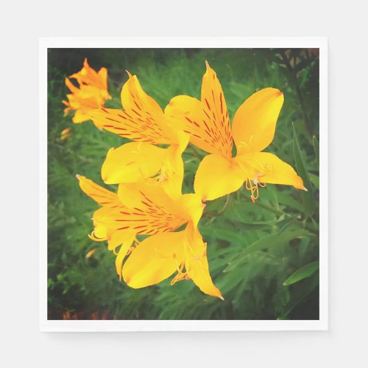 黄花 スタンダードランチョンナプキン (正面)