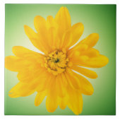 黄花 タイル (正面)