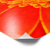 黄花 フォトプリント            (角)