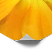 黄花 ポスター (角)