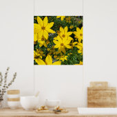 黄花 ポスター (キッチン)