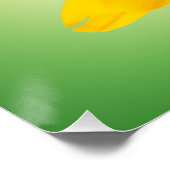 黄花 ポスター (コーナー)