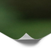 黄花 ポスター (角)