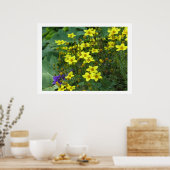 黄花 ポスター (キッチン)