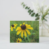 黄花 ポストカード (スタンド正面)