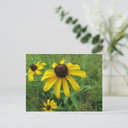 黄花 ポストカード (スタンド正面)