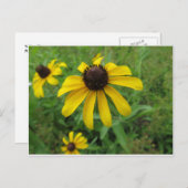 黄花 ポストカード (正面/裏面)