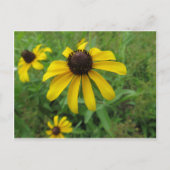 黄花 ポストカード (正面)