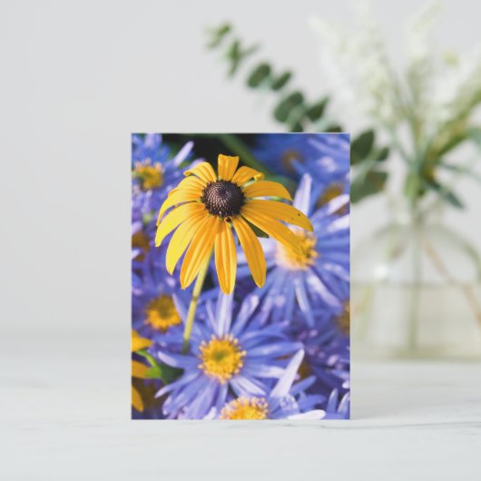 黄花 ポストカード (スタンド正面)