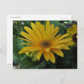 黄花 ポストカード (正面/裏面)