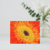 黄花 ポストカード (スタンド正面)