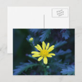 黄花 ポストカード (正面/裏面)