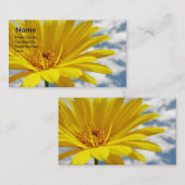 黄花 名刺 (正面/裏面)