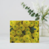 黄菊カード ポストカード (スタンド正面)