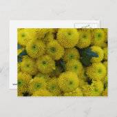 黄菊カード ポストカード (正面/裏面)