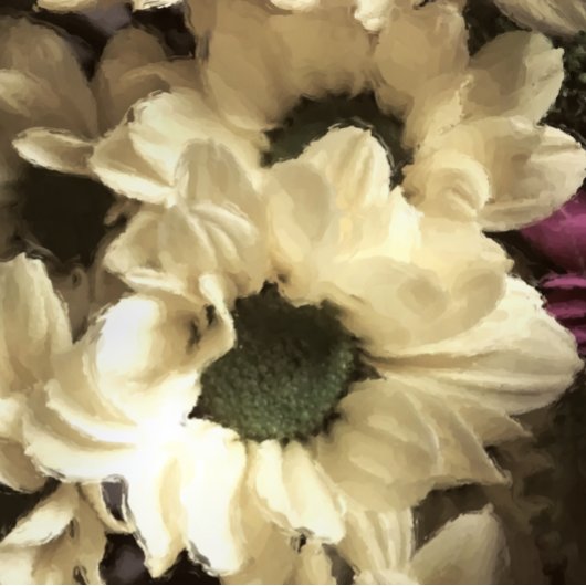 黄菊 フォトプリント           