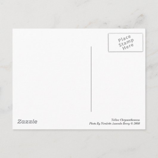 黄菊 ポストカード (裏面)