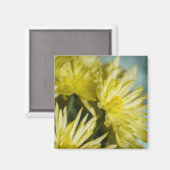 黄菊 マグネット (正面/裏面)