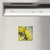 黄菊 マグネット (インサイチュ (食洗機))