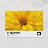 黄菊 名刺 (正面)