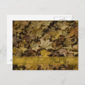 黄落ちた葉色 ポストカード (正面/裏面)